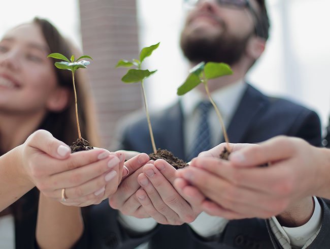 diplomados virtuales gratis liderazgo sostenible para la agenda 2030