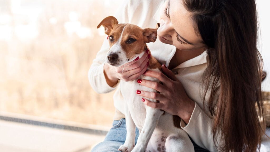 cursos online gratis intervención asistida por animales en terapia ocupacional