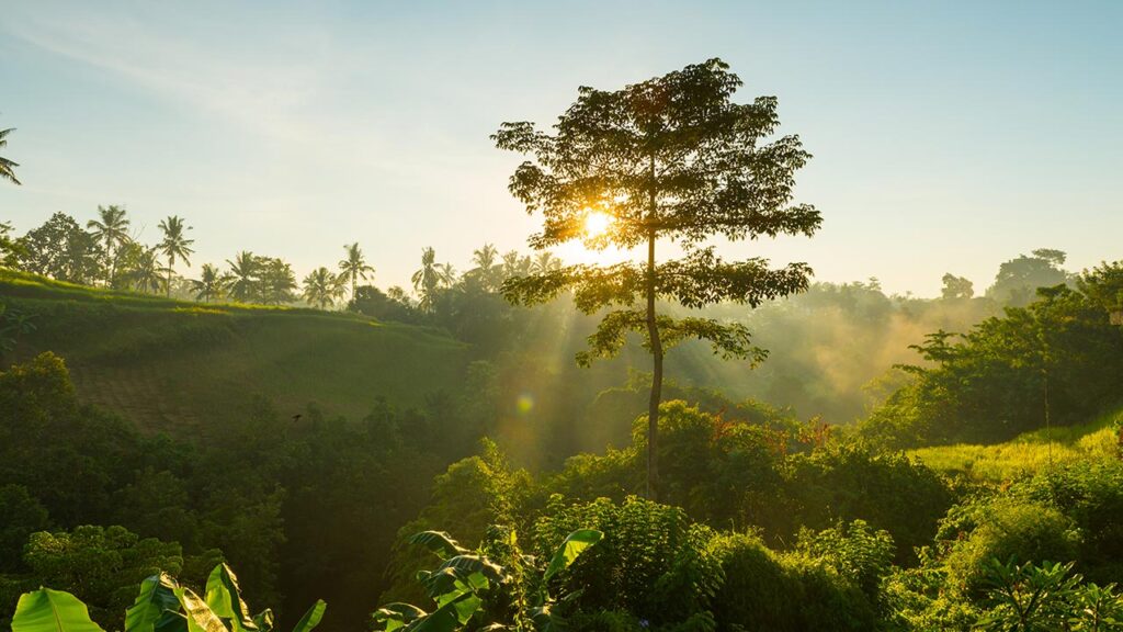 Consultoría Ambiental