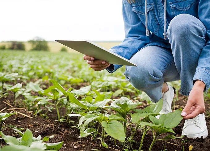 Diplomados virtuales gratis Manejo Seguro de Plaguicidas