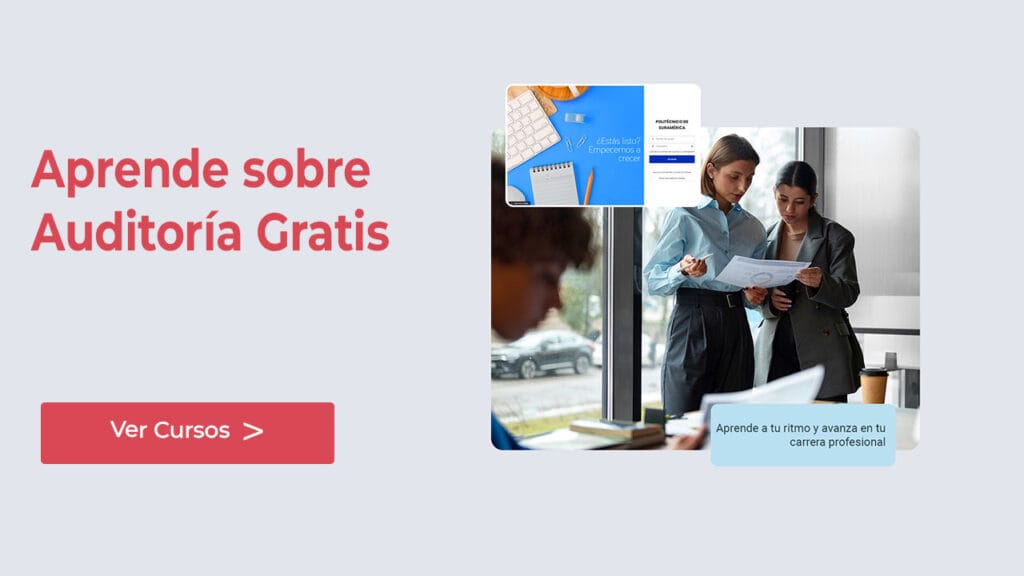 Cursos Online de Auditoría