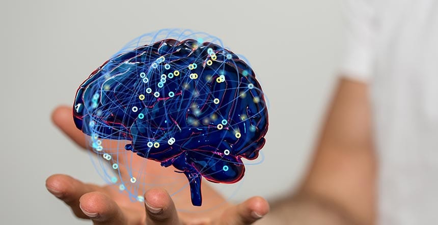 Del mito a la evidencia: estrategias de neurodesarrollo